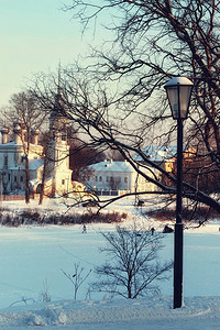 冬天路灯和树图片