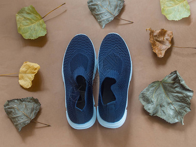 棕色背景中的蓝色鞋子和叶子图片