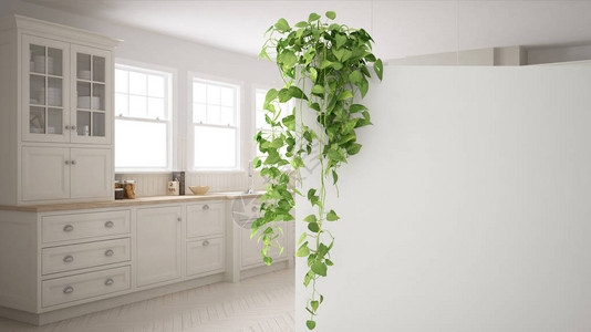 带复制空间的绿色室内设计概念背景带盆栽植物的前景白墙斯堪的纳图片