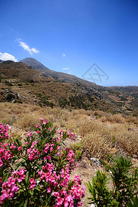 地中海夏季景观图片