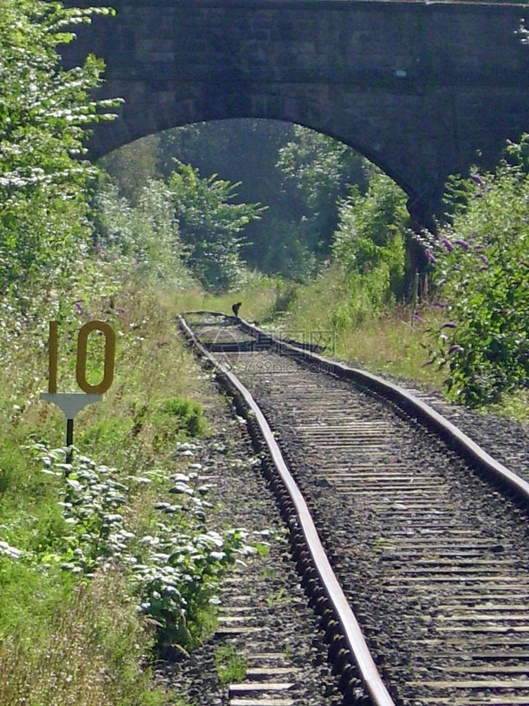 传统铁路线在桥下通过后消失到远处显示这条线不均匀前景下的第10号标图片