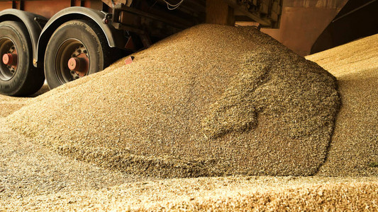 大堆小麦谷物一大堆储存的燕麦田图片