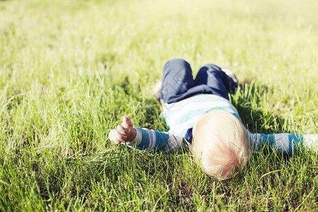 快乐的幼儿男孩在阳光明媚的公园中夏草图片