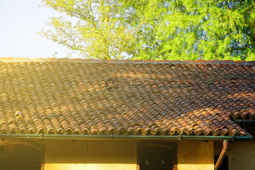 旧的红瓦屋顶特写镜头和背景上的绿树图片