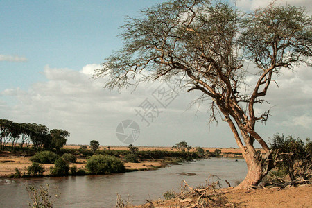 肯尼亚TsavoEast国图片