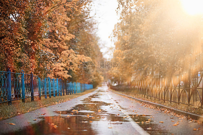 白天公园里的秋雨图片