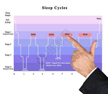 睡眠周期REM图片