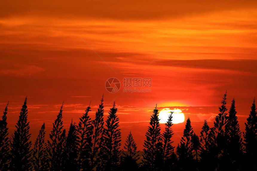 夕阳彩天云浮在人影松上图片