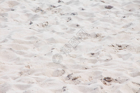 关闭海滩沙子背景图片