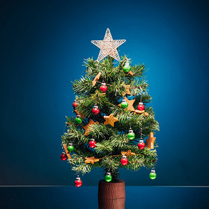 蓝色背景上的节日圣诞树图片