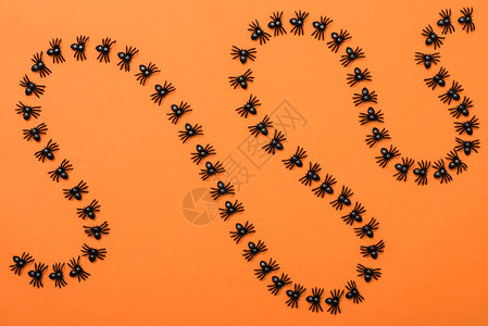 万圣节背景橙色背景上的黑蜘蛛图片