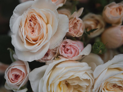 粉红玫瑰玫瑰花束复古插花图片