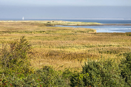 Hoek自然保护区的海滩和北海中图片
