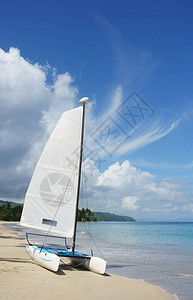热带海滩上的Catam背景图片