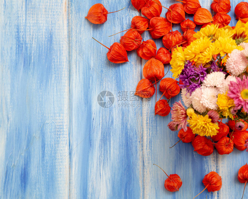 秋天的背景蓝色木质背景上明亮的橙色酸浆果和秋花秋季假期和图片