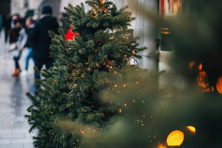 时尚的花环灯在圣诞树上的冷杉树枝上图片