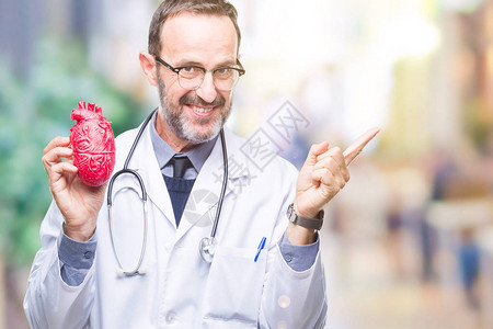 中年老心脏病专家医生在孤立的背景下握着心脏图片