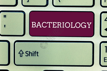 文字书写文本细菌学微生物学分支处理细菌及其用图片