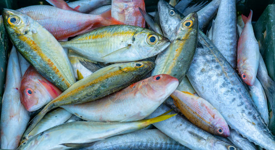 捕捞后的鲜鱼在市交易这种鱼生活在越南中部和东南图片