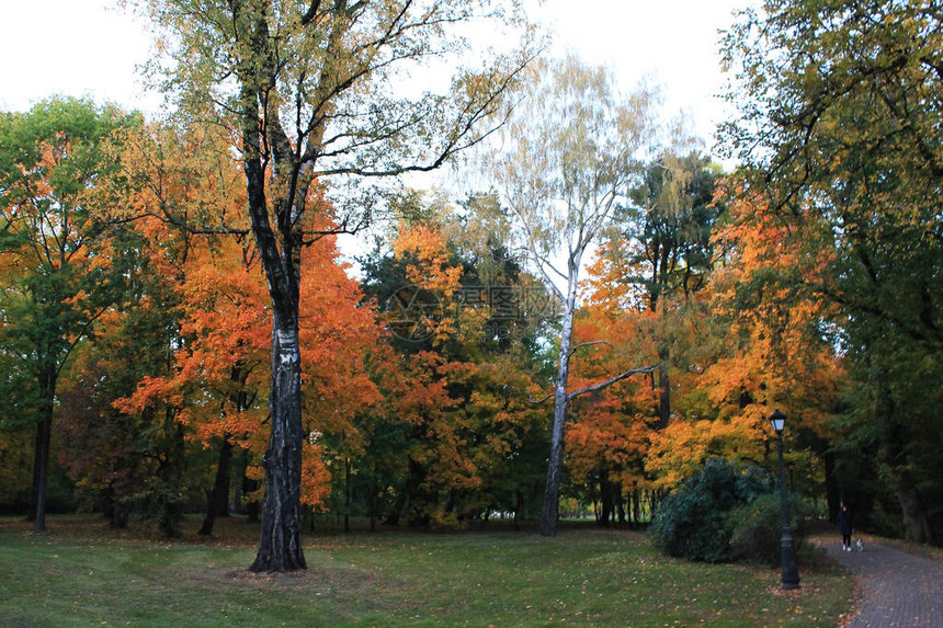 秋天的欢乐颜色秋天的风趣色彩在阳图片