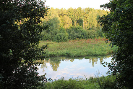 秋天的森林河流景观秋天的森林河流水景图片