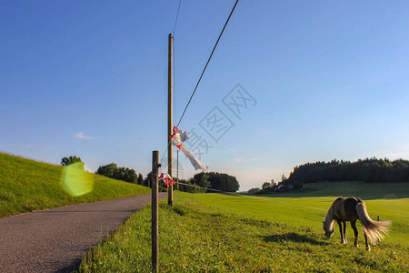 青蓝天空绿草南德布拉伐城南部的图片