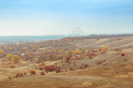 秋天明亮温暖的风景山丘田地和树木背景图片