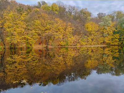 秋季风景湖和树木背景中图片