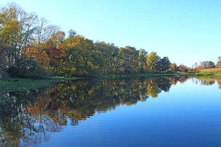 秋天的风景树反映在河的水面上黄叶落在湖面上秋天的水景与河的秋季全景图片