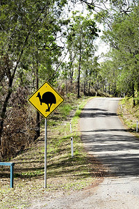 北昆士兰州澳大利亚路边的高清图片