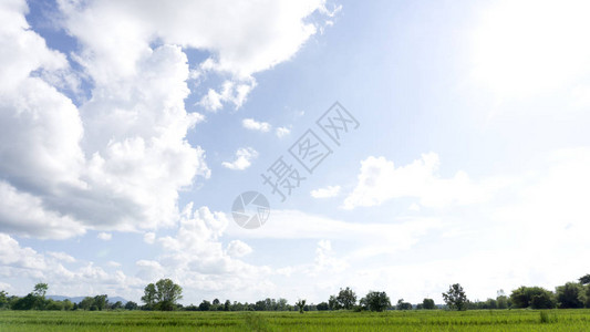 蓝天空和云背景的绿色山林CopyS图片