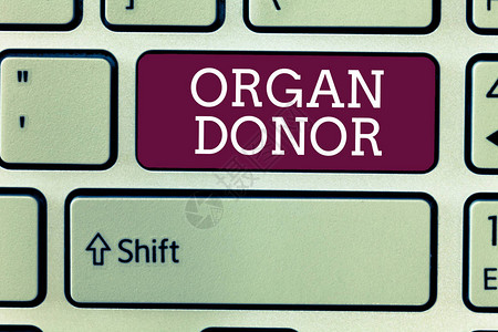 书写文字器官捐赠者展示的生意概念谁提供器官从身体移植掌上图片
