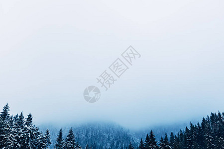山中美丽神秘的森林满是厚雾中的雪和山峰覆图片