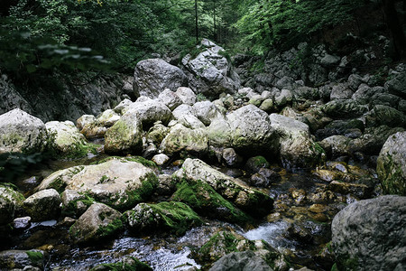 斯洛文尼亚Bohinj山谷萨图片