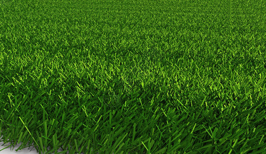 作为背景的绿草表面背景图片