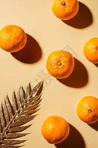 蜜蜂背景上的橘子和金树图片