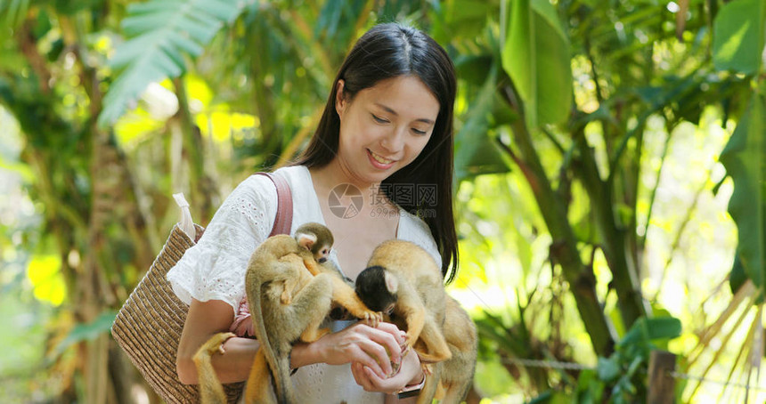 女人在动物园公喂松鼠猴图片