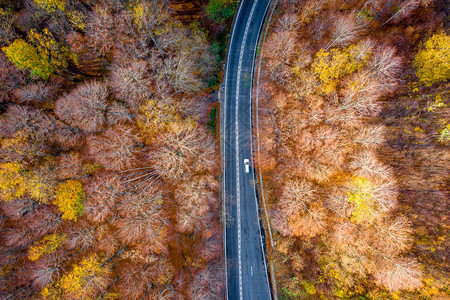 秋季在森林中间的风景道路图片