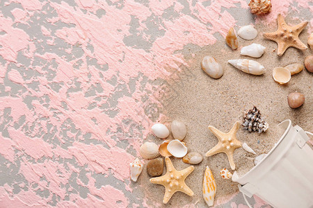 用不同海壳和颜色背景的沙子图片