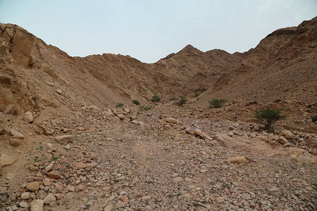 约旦亚喀巴市附近山丘图片