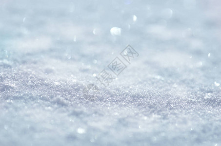 与雪的冬天风景新鲜雪的背景降雪纹理背景图片