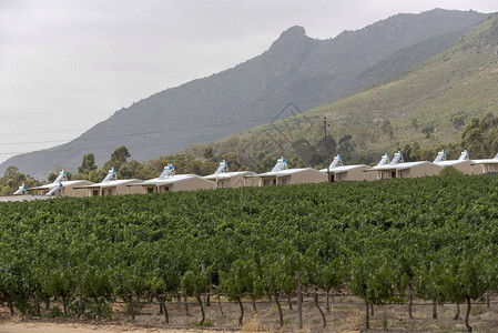 阿西里西南非Swartland葡萄酒生产区Riebeek西部的Pulpit背景