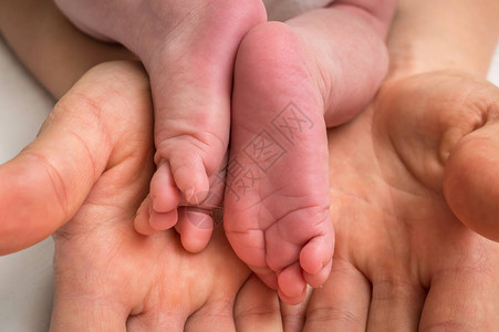 新生儿婴脚掌在母亲的手中图片