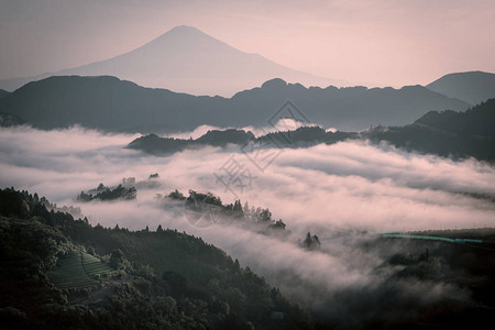 早晨的富士山和雾海图片