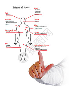 呈现压力的影响图片