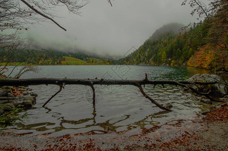 背景为倒树和青山的湖景图片