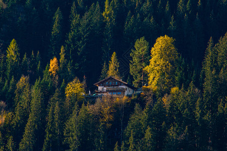 青山绿水远房风景图片