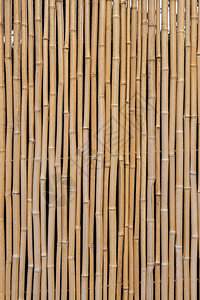形成栅栏背景或背景的垂直竹条模式分组单背景图片