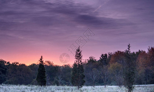 美国密歇根州美丽的秋天清晨地上霜冻日图片