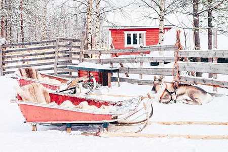 冬季在拉普兰的芬兰图片